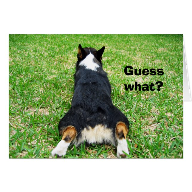 Cartão Engraçado Bumbum Corgi adivinha qual é a placa de  (Frente Horizontal)