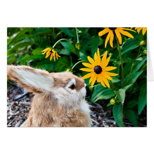 Cartão Engraçado Bunny (Frente Horizontal)