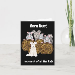 Cartão Engraçado Byrn Hunt - Em Busca De Ratos Com Uma Bo