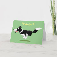 Engraçado Cão da Borda Collie executando desenho a