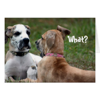 Cartão Engraçado Cartaz