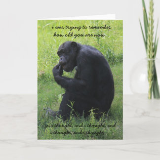 Cartão Engraçado Chimp (o pensador) no Aniversário do Mor