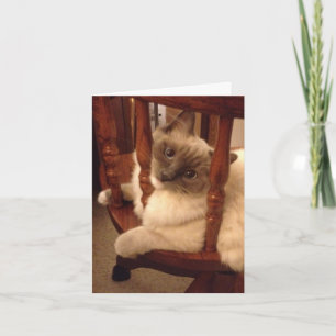 Cartão Engraçado com um boneco de atitude