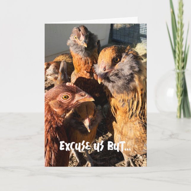 Cartão Engraçado Curioso Amber Brown Chickens Fecha Foto (Frente)