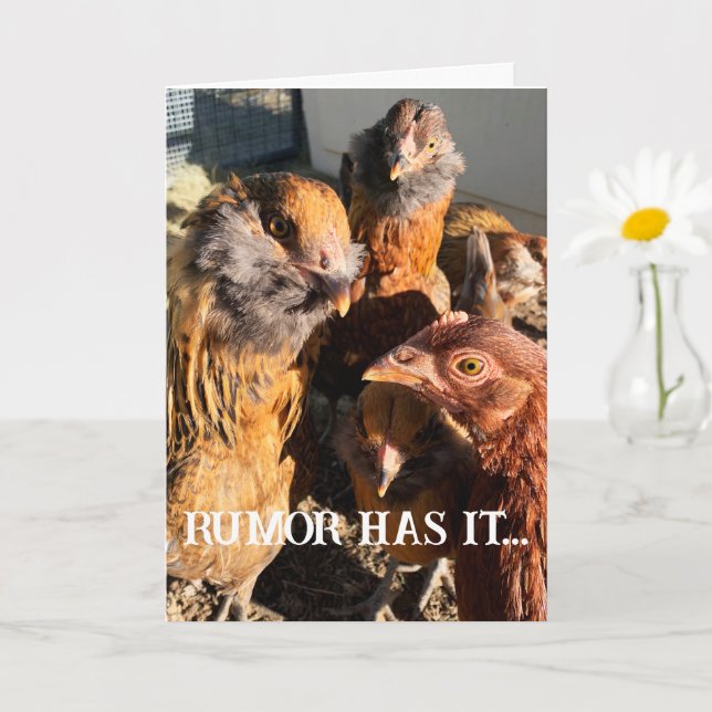 Cartão Engraçado Curioso Amber Brown Chickens Fecha Foto (Planta pequena)