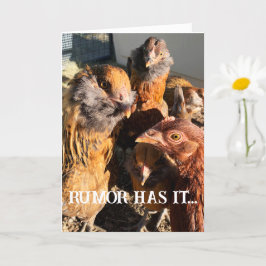 Cartão Engraçado Curioso Amber Brown Chickens Fecha Foto