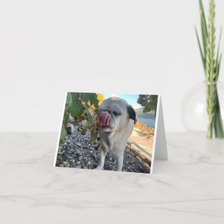 Cartão Engraçado de aniversário