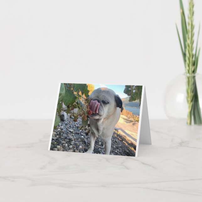 Cartão Engraçado de aniversário (Frente)