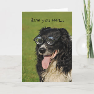 Cartão Engraçado de Border Collie em Rebanho