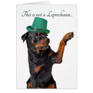 Cartão engraçado de Leprachaun Rottie
