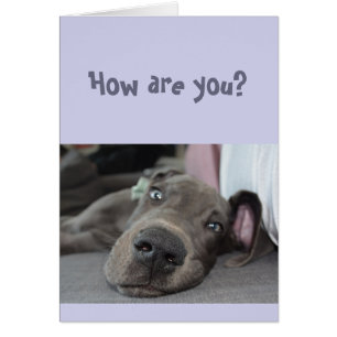 Cartão Engraçado Distorção Social Menina Seu Grande Cacho