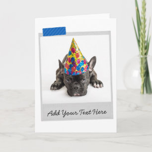 Cartão engraçado do Bulldog Francês Preto Frenchie