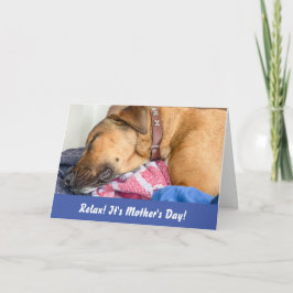 Cartão engraçado do Dia das Mães para o cachorro