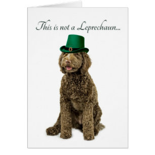 Cartão engraçado do Leprechaun de Labradoodle