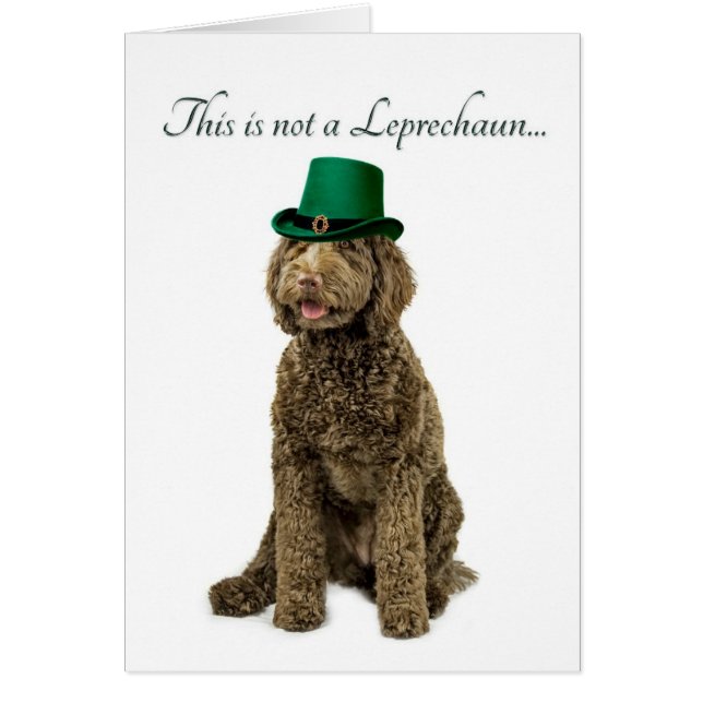Cartão engraçado do Leprechaun de Labradoodle (Frente)
