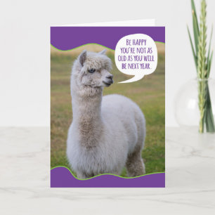 Cartão Engraçado Dolly Llama Birthday Wisdom