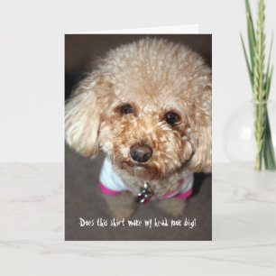 Cartão Engraçado ficar bem.