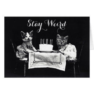 Cartão Engraçado ficar estranho vintage vestido gatinho