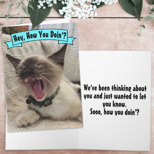 Cartão Engraçado Gritando Como Você Faz Foto De Gato Siam