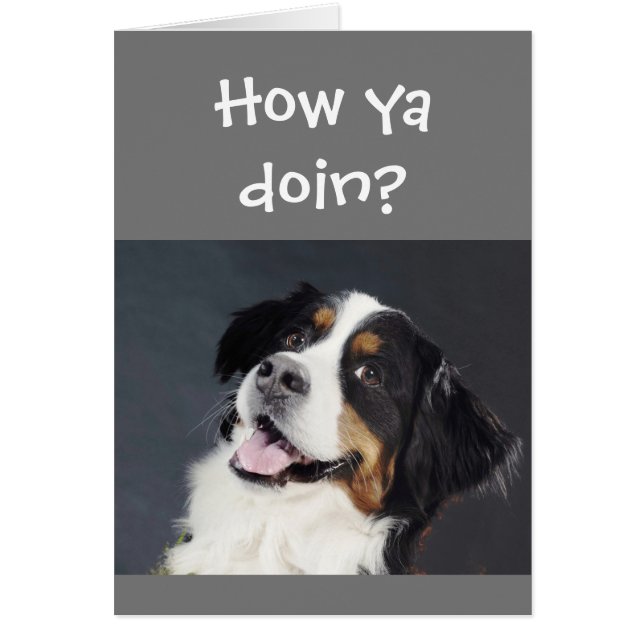 Cartão Engraçado, Lighthearted Pensando em seu Cachorro B (Frente)