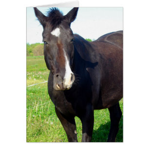 Cartão Engraçado Mare