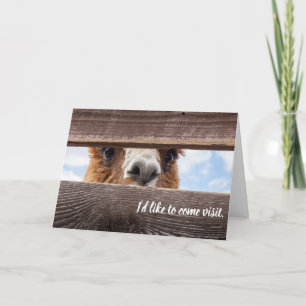 Cartão Engraçado pagar-lhes uma visita.