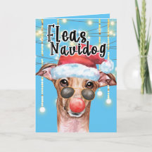 Engraçado Papai noel Greyhound cão Foguete de Nata