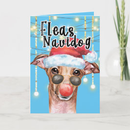 Cartão Engraçado Papai noel Greyhound cão Foguete de Nata