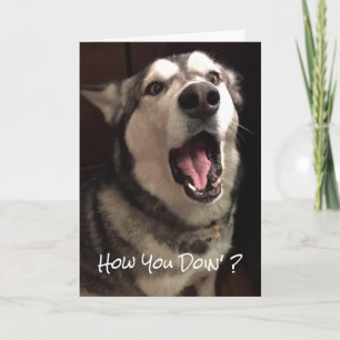 Cartão Engraçado Pensar Em Ti, Malamute Dog Foto Do Alask