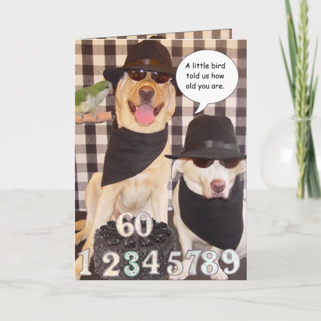 Cartão Engraçado por cima do morro (Frente)