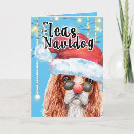 Cartão Engraçado Rei Charles Spaniel Foguete de Natal