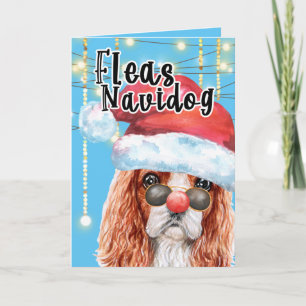 Cartão Engraçado Rei Charles Spaniel Foguete de Natal