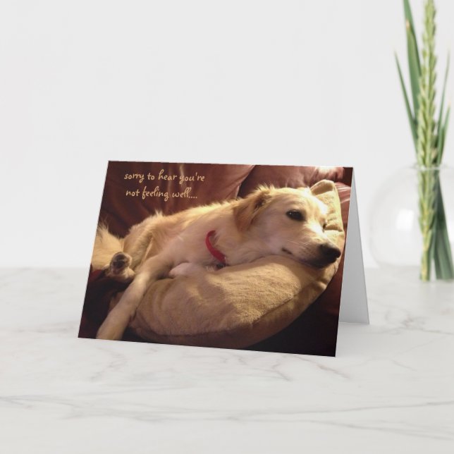 Cartão Engraçado Se Dar Bem, Óculos De Cachorro Que Dorme (Frente)