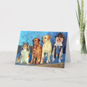 Cartão Engraçado, um bom aniversário de laboratório