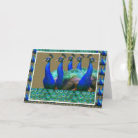 Enjoy:  PEaCOCK n Feathers Art Graphics