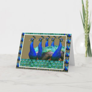 Cartão Enjoy:  PEaCOCK n Feathers Art Graphics