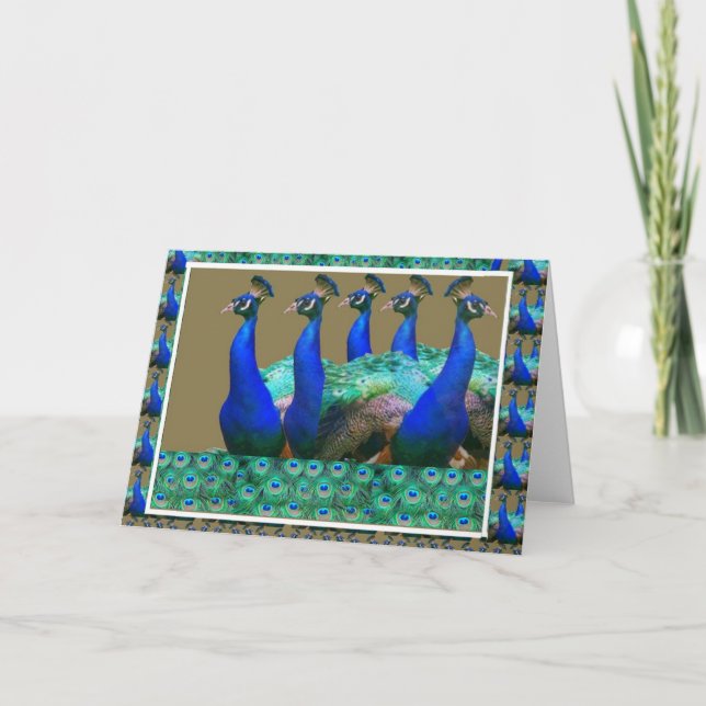 Cartão Enjoy:  PEaCOCK n Feathers Art Graphics (Frente)