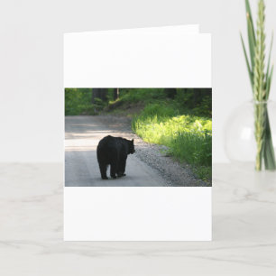 Cartão entrando na luz