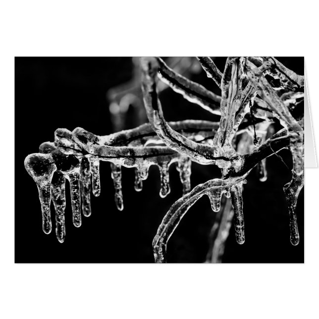 Cartão entrar no inverno gelado (Frente Horizontal)