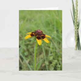Cartão Entre os Wildflowers Notecards (vazio para dentro)