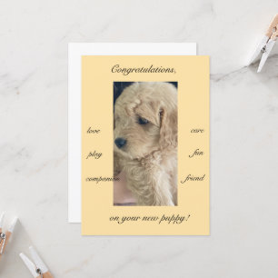 Cartão Entusiasmo, alegria e diversão, novo cachorrinho,
