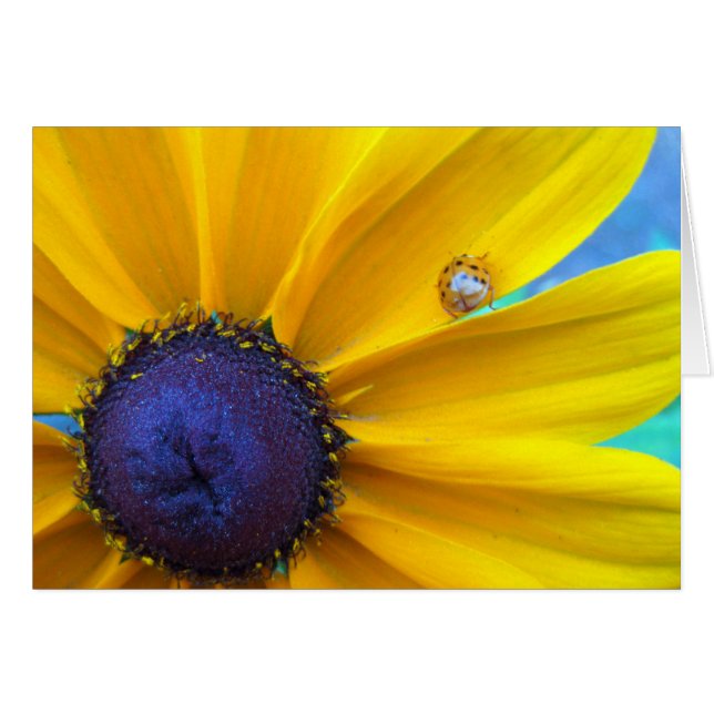 Cartão Enviando lhe alguma luz do sol (Frente Horizontal)