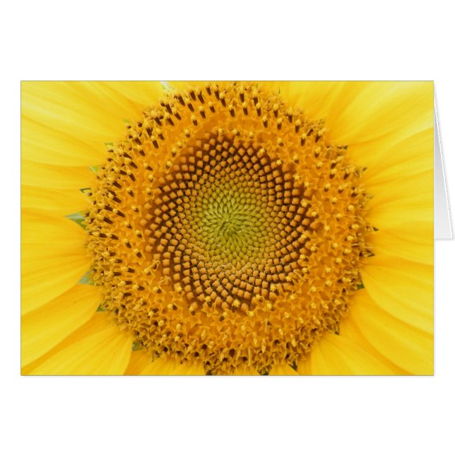 Cartão Enviando lhe um sorriso (Frente Horizontal)