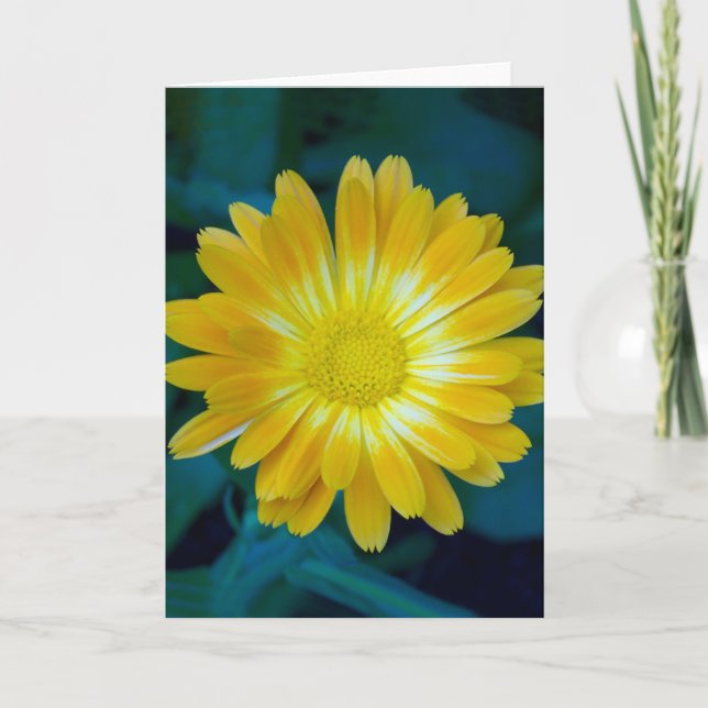 Cartão Envie a flor a seus amigos que dura (Frente)