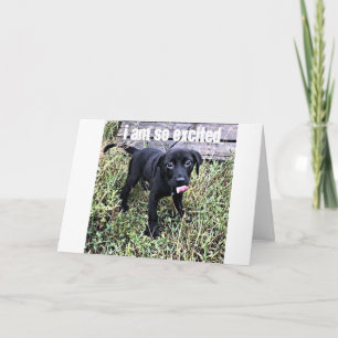 CARTÃO ENVIO UM SORRISO E DIGO ***PARABÉNS***