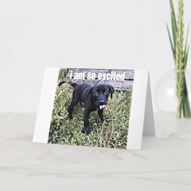 CARTÃO ENVIO UM SORRISO E DIGO ***PARABÉNS*** (Frente)