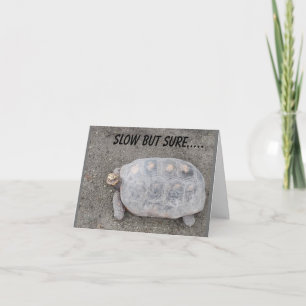 CARTÃO ENVIOS LENTOS, MAS SEGUROS, DA TARTARUGA *70 ANIVE