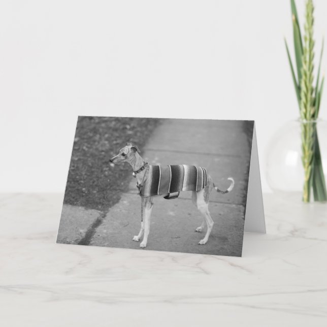 Cartão Enzo's Greeting Card (Frente)