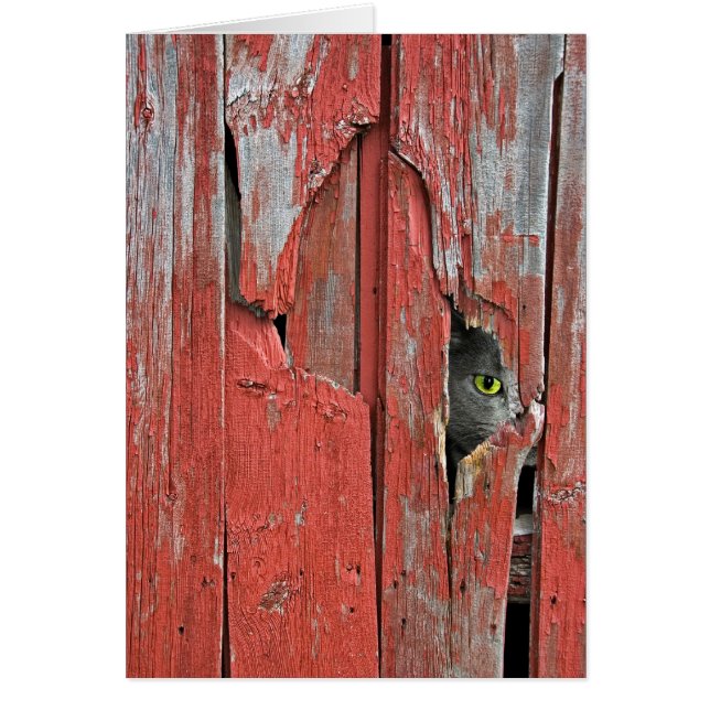 Cartão Episando Tom (Frente)