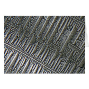 Cartão Epsomite sob o microscópio